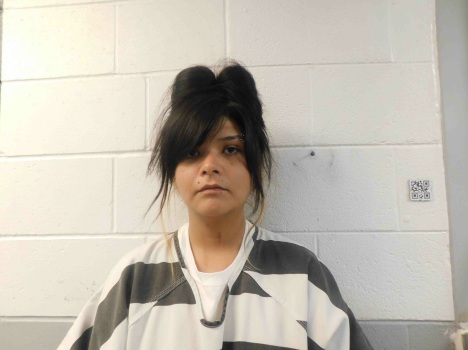 Mugshot of ALYSSA MALDONADO