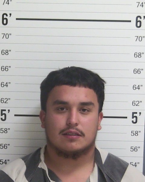 Mugshot of LUIS NMN CERON