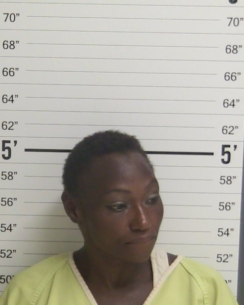 Mugshot of PATRICIA ANN KELLY