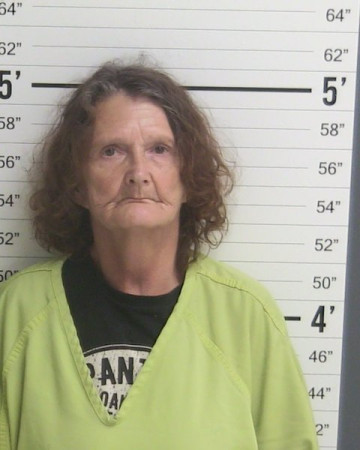Mugshot of SHARON ILENE FULGHAM