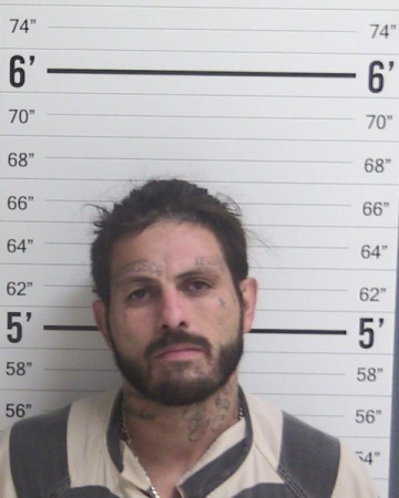 Mugshot of DAVID LEANDREW DELHOYO