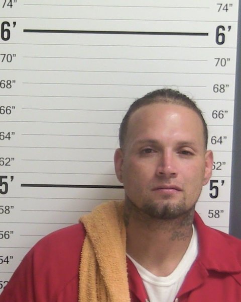 Mugshot of WILBERT GABBY SORTO