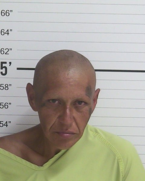 Mugshot of MONICA SIMONA MARES
