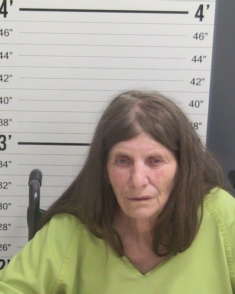 Mugshot of POLLY WILSON