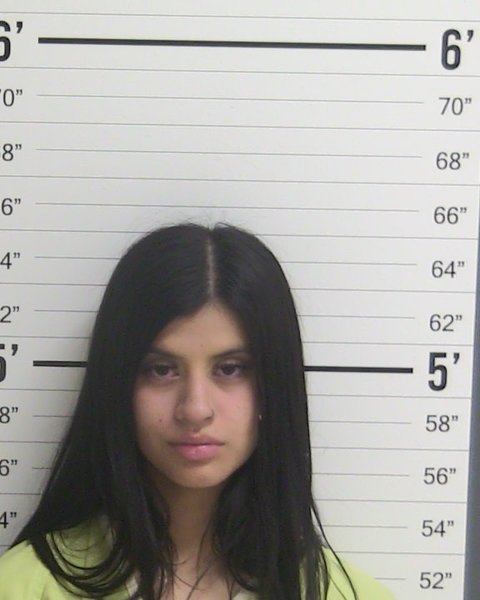 Mugshot of ANDREA GUADALUPE PEREZ