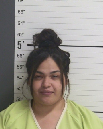 Mugshot of MELISSA NMN REYES