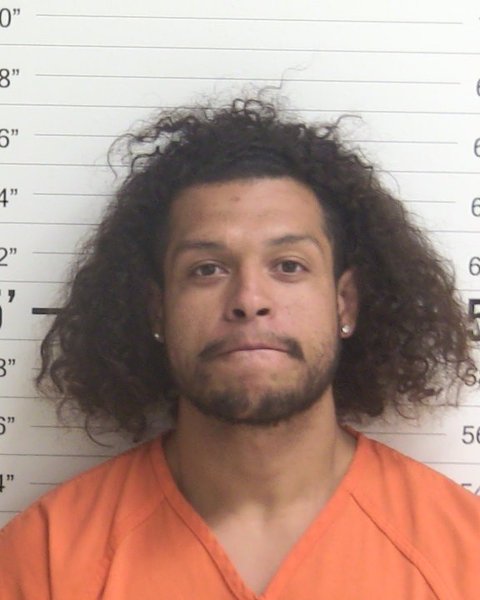 Mugshot of BRIAN ERIC CAMILO