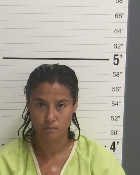 Mugshot of CRYSTAL WILBOURN
