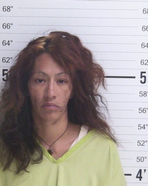Mugshot of LISBETH CONDE-HERRERA