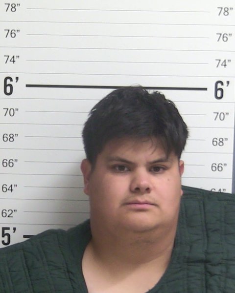 Mugshot of CESAR TORRES-MEZA
