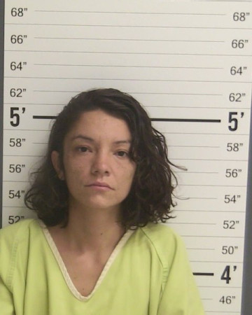 Mugshot of GINA CARMELITA MARGIE SANCHEZ