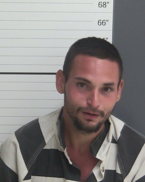 Mugshot of BRIAN LEE DAVILA