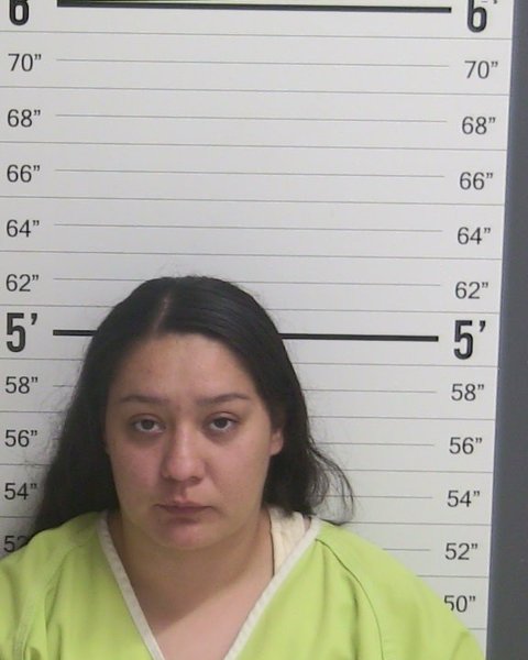 Mugshot of MARIA LUZ SANTILLANES