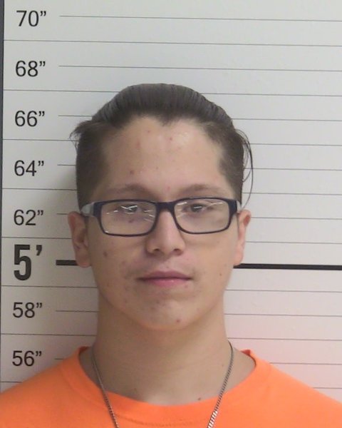 Mugshot of JULIO ZAMORA