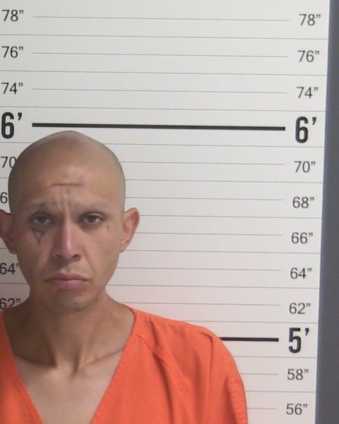 Mugshot of RYAN JAMES MARES