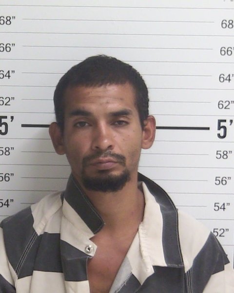 Mugshot of SERGIO MIGUEL CHACON