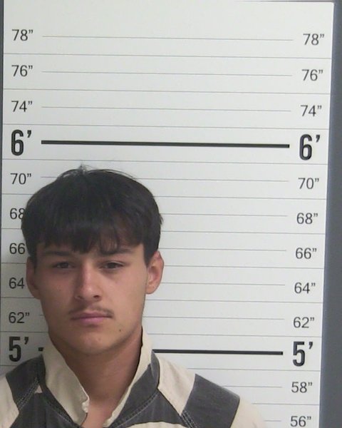 Mugshot of DARIEN KOLE JOHNSON
