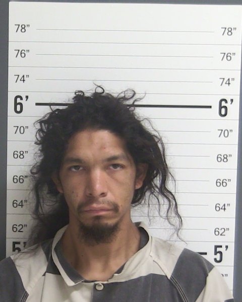 Mugshot of BILLY JO DODGE