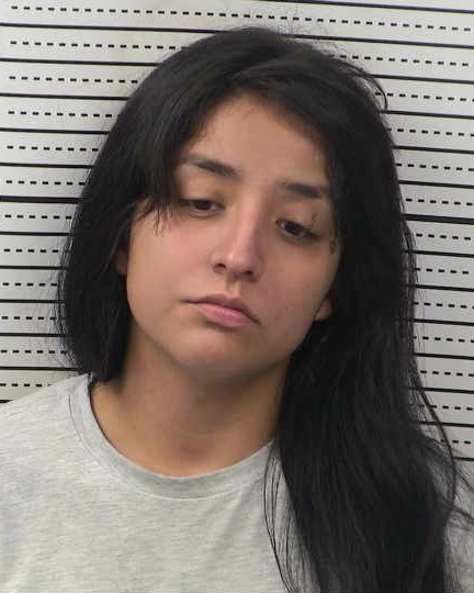 Mugshot of JOHANNA RAMIREZ