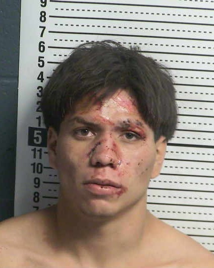Mugshot of LUIS FERNANDO AGUIRRE