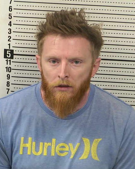 Mugshot of SEAN RYAN