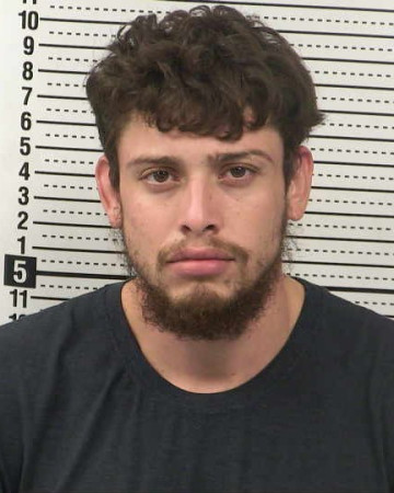 Mugshot of CARLOS ESTRADA-ARIZMENDIS