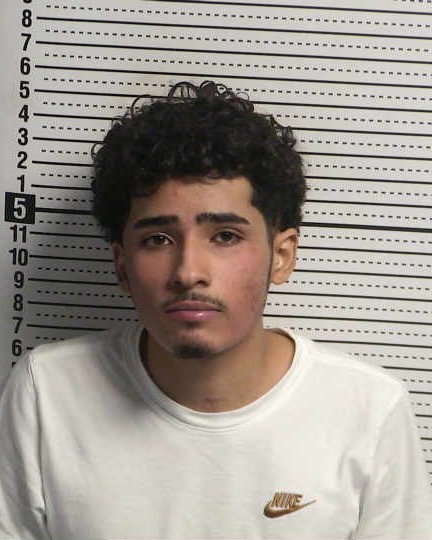 Mugshot of DYLAN D'ANDRE WILSON