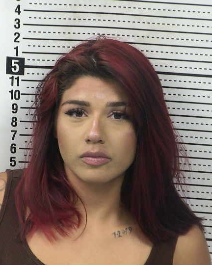 Mugshot of ISABEL SANCHEZ
