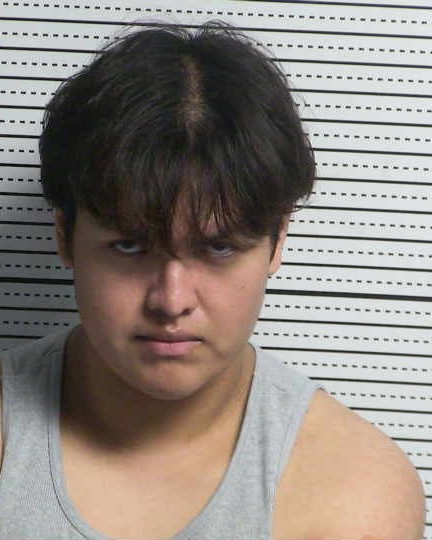 Mugshot of JOSHUA JOSEPH NELSON