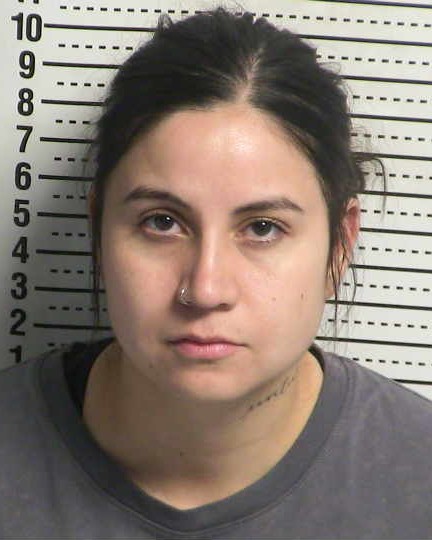 Mugshot of ADRIANA LEYVA