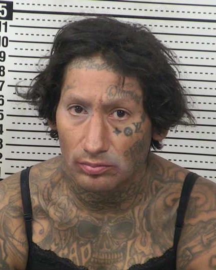 Mugshot of ANTHONY MICHAEL DURAN