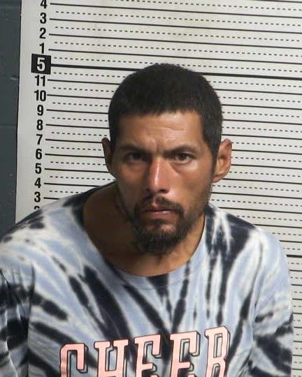 Mugshot of PATRICK TORRES