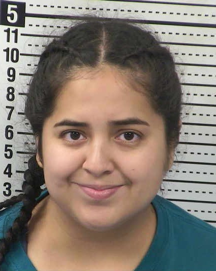 Mugshot of NICOLE SILVA