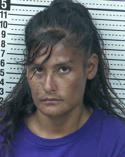 Mugshot of IVETTE CARRILLO