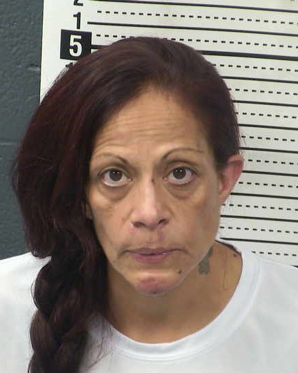 Mugshot of DAWN MARIE HOLLAND