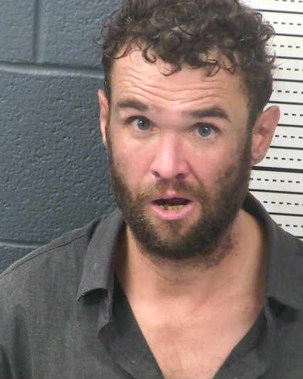 Mugshot of LEE DIXON MCKINLEY