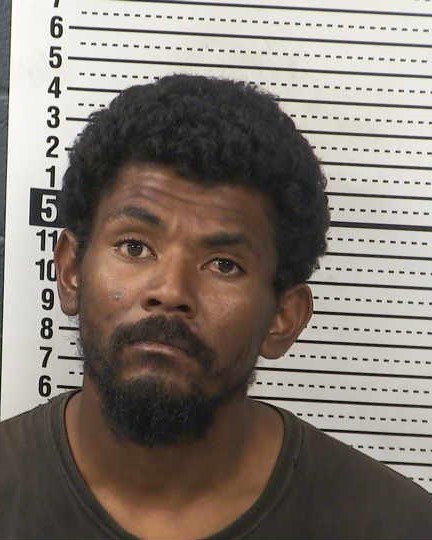Mugshot of MIGUEL D ESTRADA