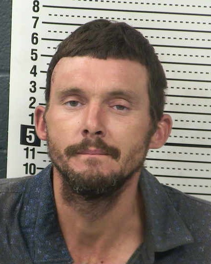 Mugshot of ROBERT GIBSON