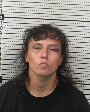 Mugshot of DAYSI L GARDEA