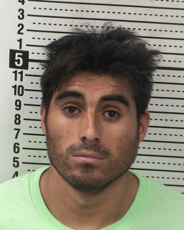 Mugshot of LUIS REYES-VARGAS
