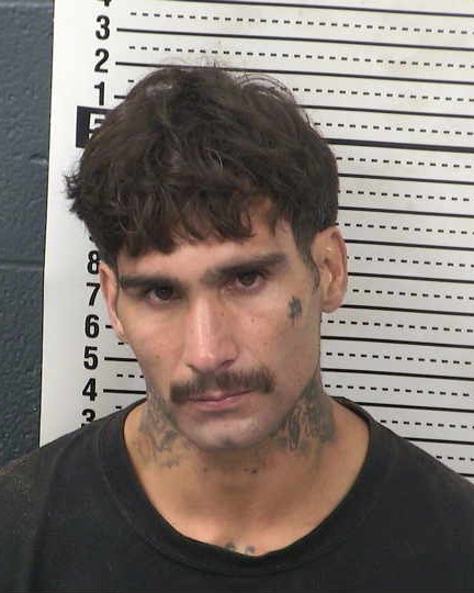 Mugshot of CLEMENTE APODACA ESPARZA