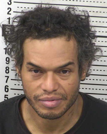 Mugshot of LOGAN TROY MINTZ