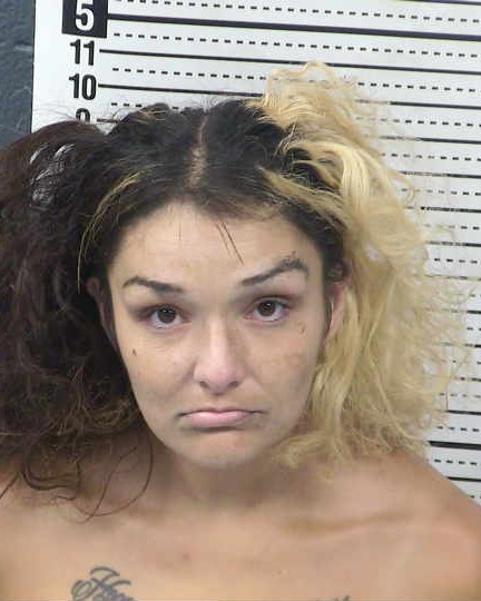 Mugshot of YVETTE H ONTIVEROS