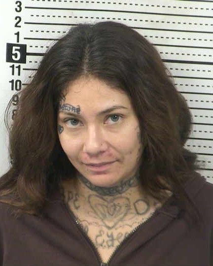 Mugshot of AMY TERESA GARCES CERVANTES