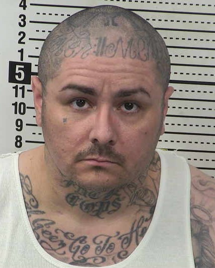 Mugshot of MICHAEL MARLIN MARTIN