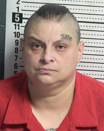 Mugshot of LIZA YVONNE ROSALES