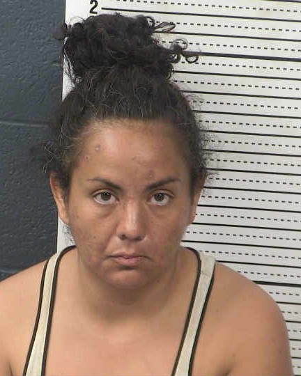 Mugshot of ERIKA GARCIA