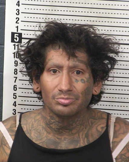 Mugshot of ANTHONY MICHAEL DURAN
