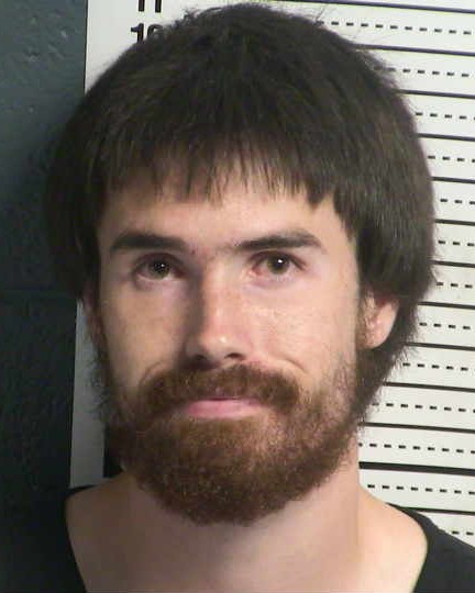 Mugshot of TRAVIS AUSTIN WOLLARD