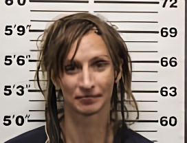 Mugshot of LISA RACHAEL GABALDON